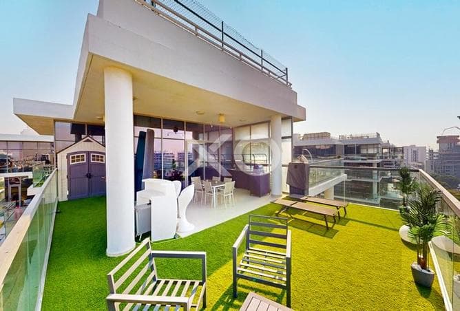 Price Drop | Exclusive | Cash Only